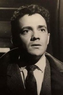 Walter Vidarte