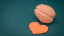 ❤️ Aşk mı, Takıntı mı? Beynimiz Ayrılığı Neden Bu Kadar Zor Yaşıyor?