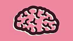 Taraflı Örnekleme Mantık Hatası ve Aceleci Genelleme Safsatası: İnsanları Yanlış Sonuçlara Yönlendirmek Neden Kolaydır?