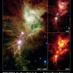 The Snowflake Cluster versus the Cone Nebula