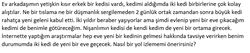 İki kedi birbirine yeni bir ortamda nasıl alıştırılır?