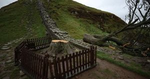 Sycamore Gap Tree Felling Trial Delayed