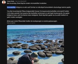 3.5 milyar yıllık bakteri fosillerinin tam olarak bakteri oldukları nasıl anlaşılıyor?