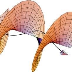 Light Can Twist as Well as Spin