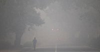Thick, hazardous smog blankets New Delhi after Diwali fireworks