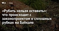 «Рубить нельзя оставить»: что происходит с законопроектом о сплошных рубках на Байкале