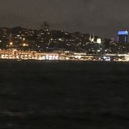 Tarık Halis Budak