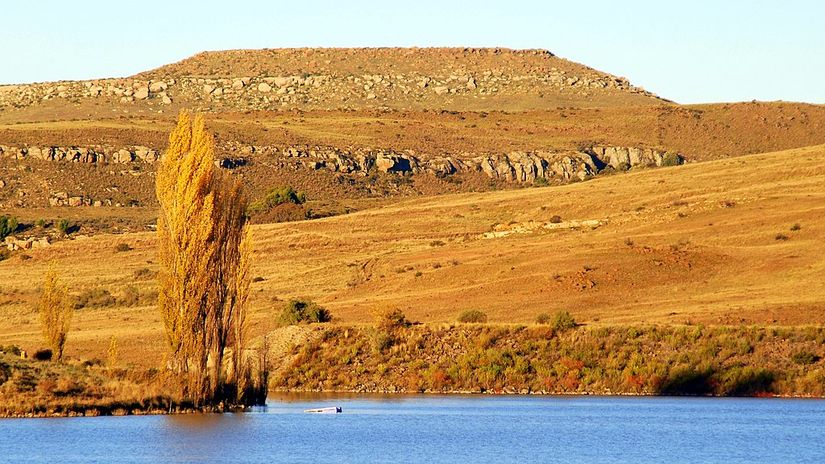 Molteno formasyonu: Yerel ve uluslararası paleobotanikçiler ve entomologlar, zengin çeşitlilikteki bitki ve böcek fosilleri nedeniyle Molteno formasyonuna büyük önem verirler.  Molteno formasyonu fosilleri, 204 farklı bitki türü ve 333 farklı böcek türünü içerir, dolayısıyla bu formasyon şimdiye kadar keşfedilen Triyas çağındaki en zengin bitki ve böcek topluluklarından biri olmuştur.