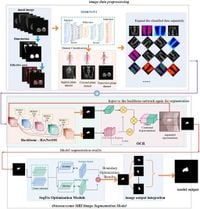 Bone tumor recognition strategy based on object region and context representation in medical decision-making system - Scientific Reports