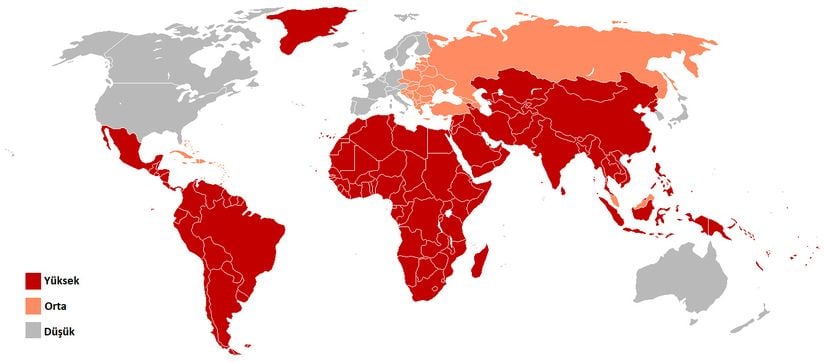 2005 Yılına Ait Hepatit A Prevalansı