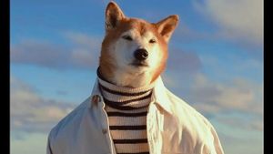 Beloved Shiba Inu Bodhi The Menswear Dog Passes Away