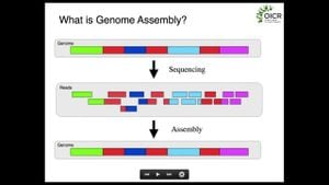 New Genome Assemblies Reveal Insights Into Diverse Organisms