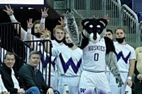 Watch Washington Huskies vs Illinois college basketball streaming for free tonight; TV channel, time, odds