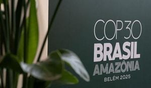 Global Climate Summit In Brazil Ends With Frustration And Hope