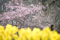 Equinoccio de primavera 2025. ¿Cuándo es? ¿Cuándo inicia la primavera en México? - ViveUSA
