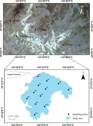 Machine Learning Reveals Habitat Preferences Of Endangered Yangtze Porpoise