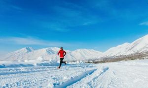 Snow Marathon Lahaul Set For March 23 At 11,000 Feet