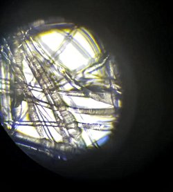 Kullanılmış maskelerde bakteri görülür mü?