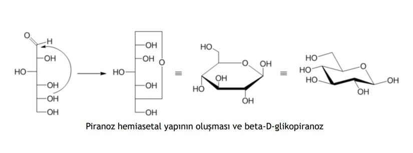 Howarth Projeksiyonu altında piranoz hemiasetal ve beta-D-glikopiranozyapının oluşumu