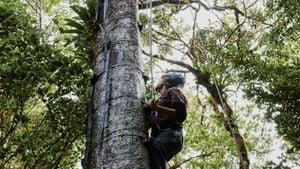 Over One-Third Of Tree Species Face Extinction