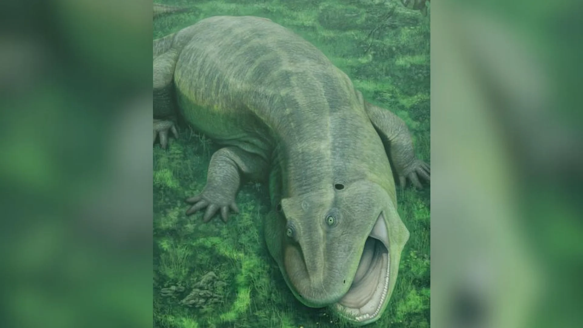 275 Milyon Yıl Önce Bile "Yaşayan Fosil" Olan Tuhaf Çeneli Bir Canlı Keşfedildi!