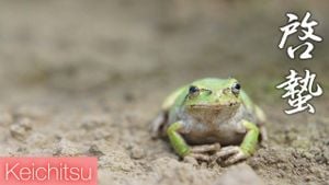 Japanese Celebrate Arrival Of Spring On Keichitsu