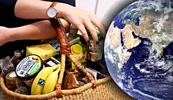 İnsanoğlunun varoluş hikayesi aslında bir istilacı ırk olduğumuzu göstermezmi ?