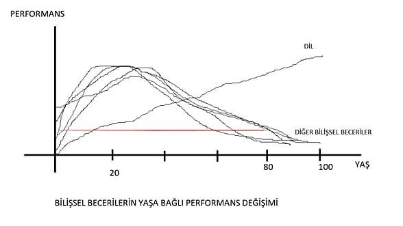 Bilişsel becerilerin yaşa bağlı değişimi
