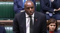 'Calamity Lammy' under fire over Epping sex offender's release