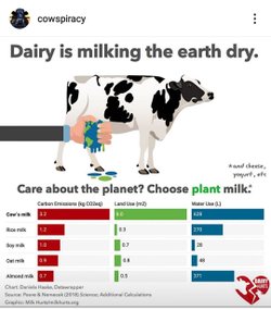 1 Litre İnek Sütü 628 Litre Su Tüketimini Gerektirir mi?