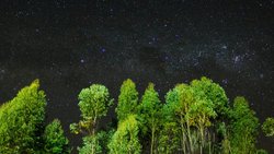 Hepimiz Ölümsüzüs