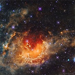  Star Formation in the Tadpole Nebula 