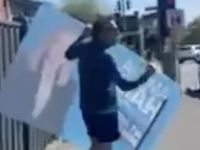 Monique Ryan’s husband filmed tearing down rival candidate poster