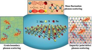 Reversible Phonon Transport Manipulation Achieved Using Electrical Bias