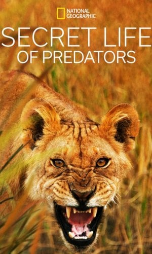 Yırtıcıların Gizli Dünyası