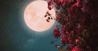 The next full moon is a special 'Flower Moon' and it's coming next week