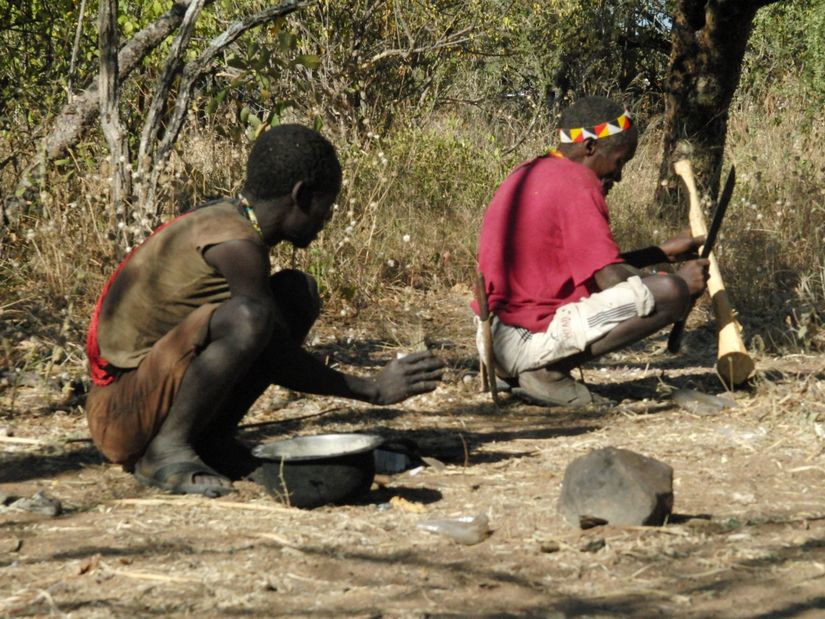 Hadza insanlarının dinlenme pozisyonları.