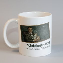 ''Schrödinger's Cat'' Kupa