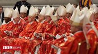 Conclave: as divisões nos bastidores do Vaticano que podem ditar rumo da escolha - BBC News Brasil