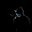 Dark Earl