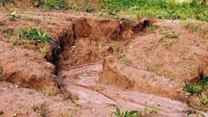 India's Gully Erosion Hinders Land Degradation Neutrality Goals