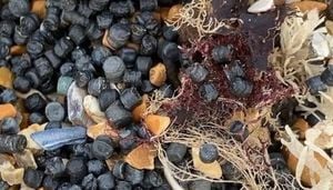 Plastic Pellet Spill Devastates Camber Sands Beach