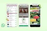 Cek Lagi, Ini Tiga Fitur Terbaru WhatsApp, Privasi Tetap Terjaga