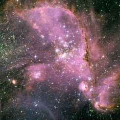  Young Stars of NGC 346 