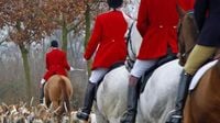 Trail hunting to be banned as part of new animal welfare strategy