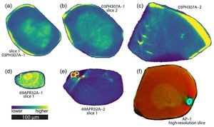 Novel Method Visualizes Anisotropic Properties Of Biological Apatite