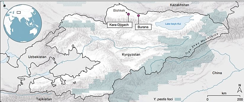 Örneklerin alındığı mezarlıkların harita üzerinde gösterilmesi.