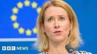 Proposed Ukraine land concessions are Putin's trap, EU top diplomat tells BBC