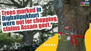 Guwahati Protesters Detained Over Tree Felling Anger