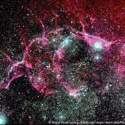 Vela Supernova Remnant in Optical